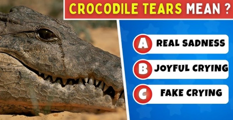 40 Old-Time Sayings Trivia – Only 1% Get Them All