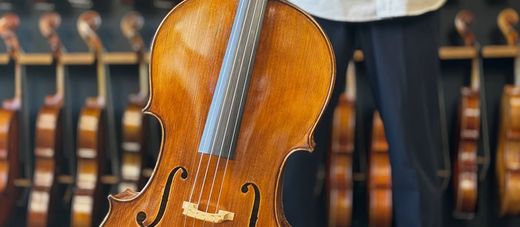 Can you name this rich-toned string instrument?