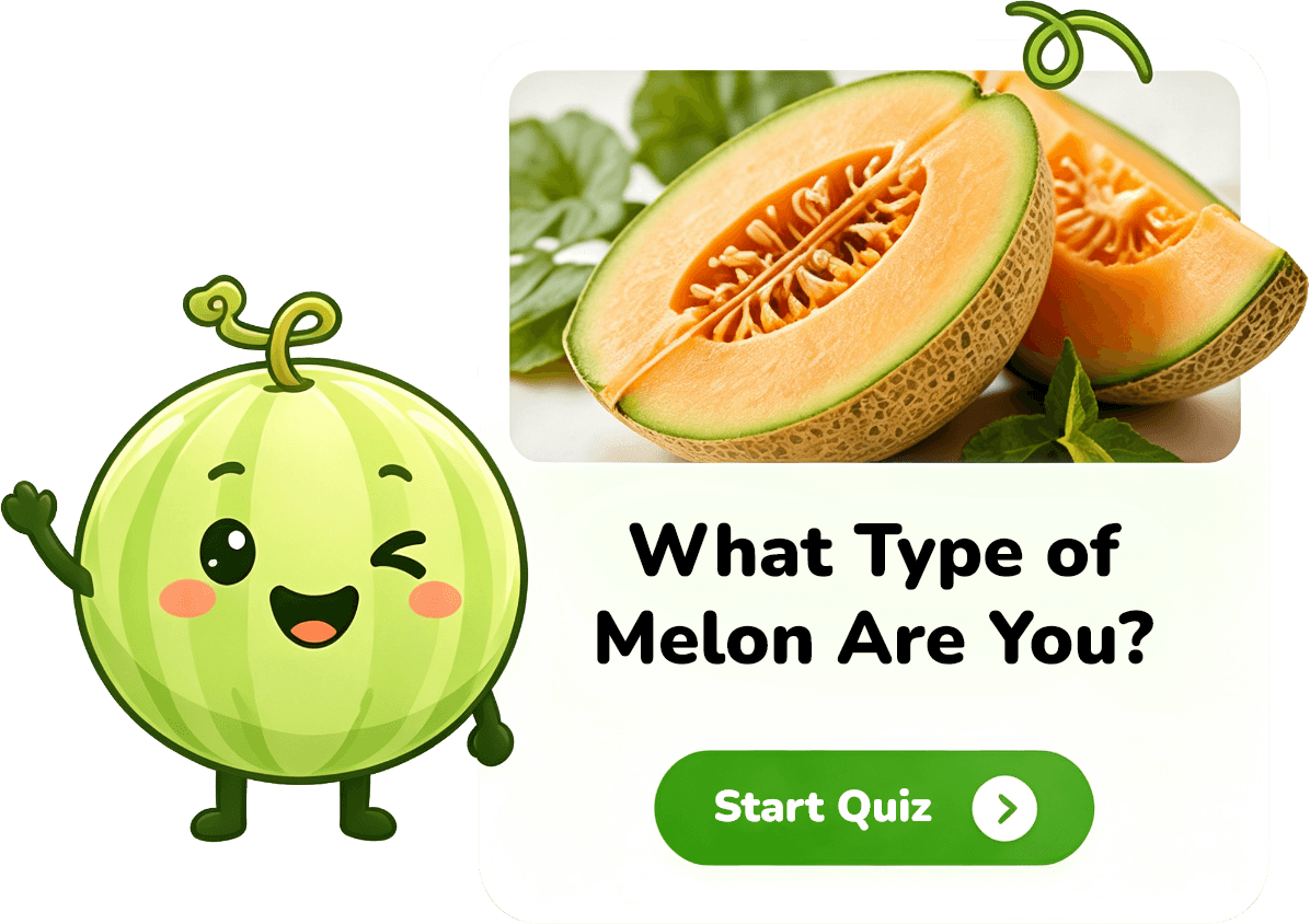 A smiling Hami melon mascot beside a quiz card